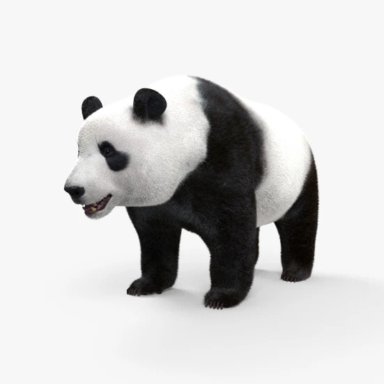 パンダ 3Dモデル ダウンロード - 3DModels.org
