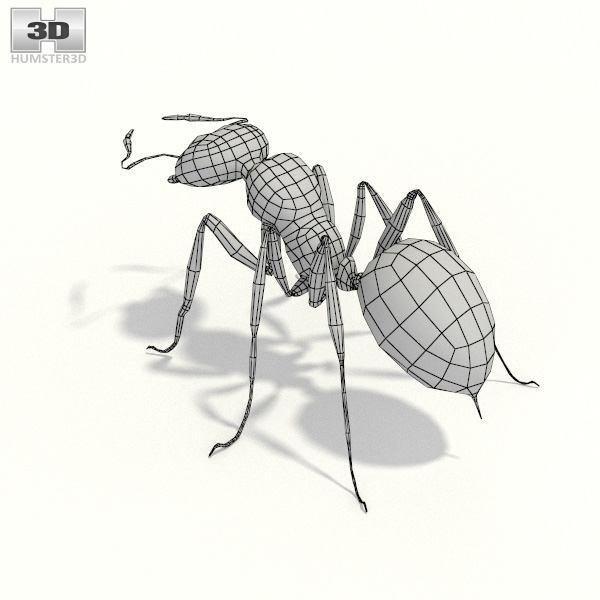 Ant Low Poly 3D model - Download Insects on 3DModels.org