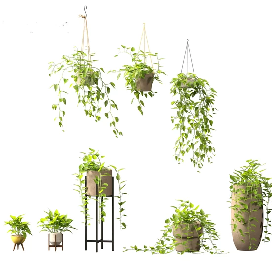 Hanging plants 3D Models Download - 3DModels.org