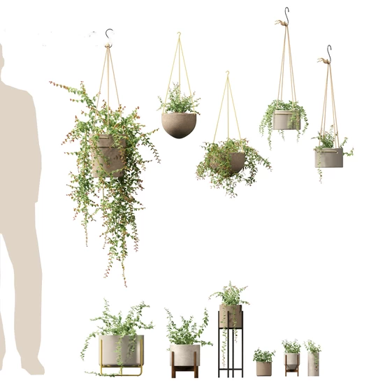 Hanging plants 3D Models Download - 3DModels.org