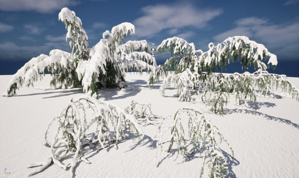 冬雪覆盖的垂枝蓝色阿特拉斯雪松 3D模型 - 下载 树木 on 3DModels.org