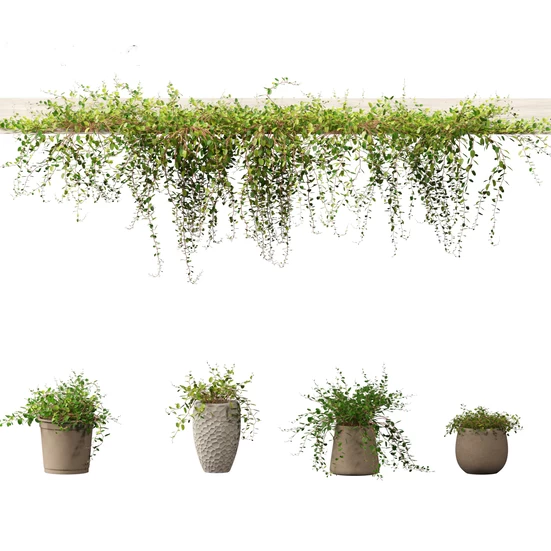 Hanging plants 3D Models Download - 3DModels.org