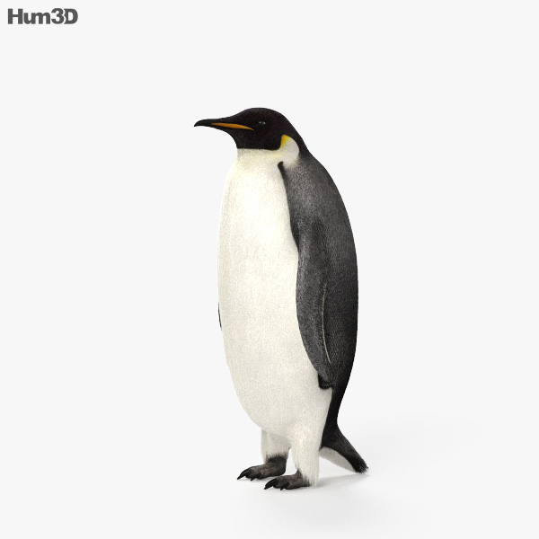 アニメーション コウテイペンギン 3Dモデル - ダウンロード 鳥類 オン