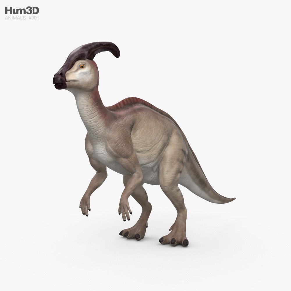 パラサウロロフス 3Dモデル - ダウンロード 恐竜 オン 3DModels.org