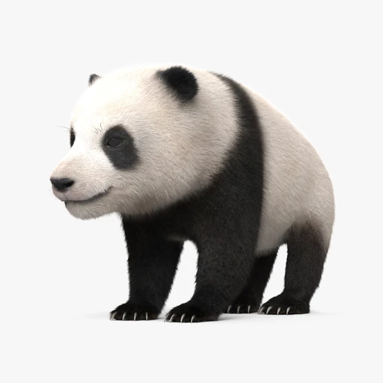 パンダ 3Dモデル ダウンロード - 3DModels.org