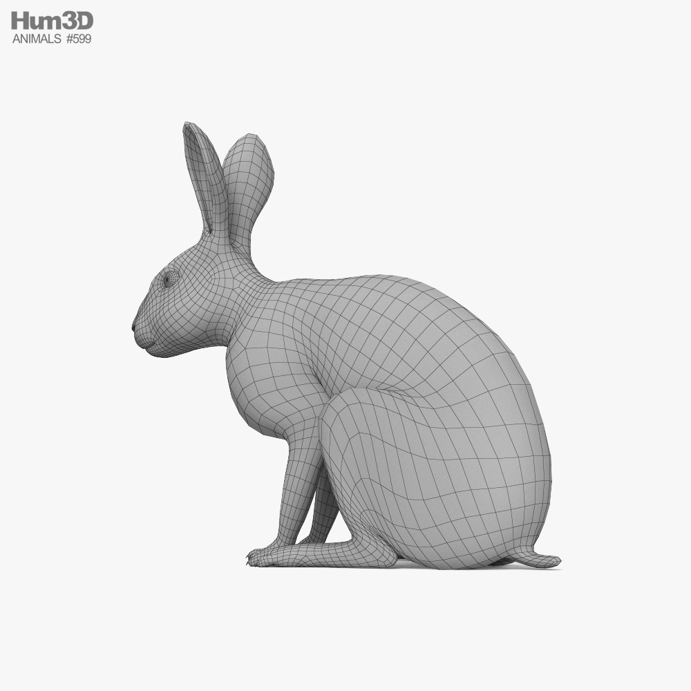 White Rabbit 3D model - Download Mammals on 3DModels.org