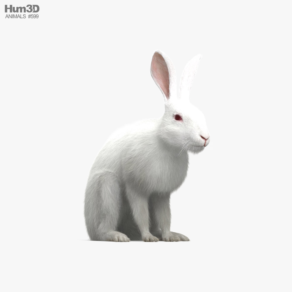 White Rabbit 3D model - Download Mammals on 3DModels.org