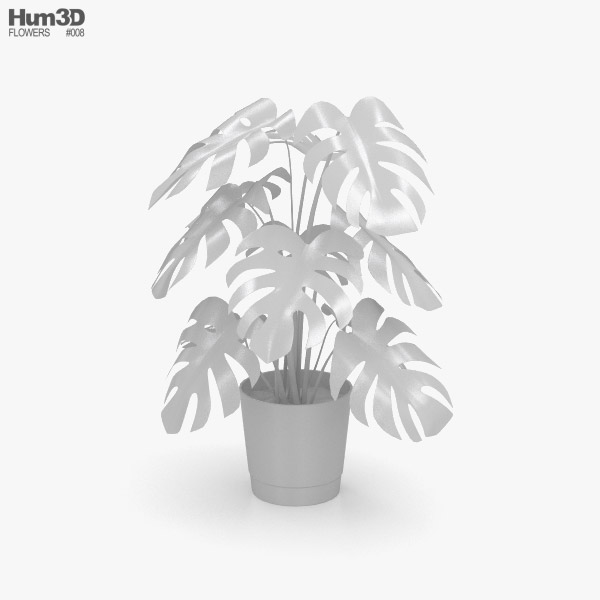 pflanzenlampe für monstera Monstera im Kugelglas mit LED-Beleuchtung - Hydroponik - Monstera