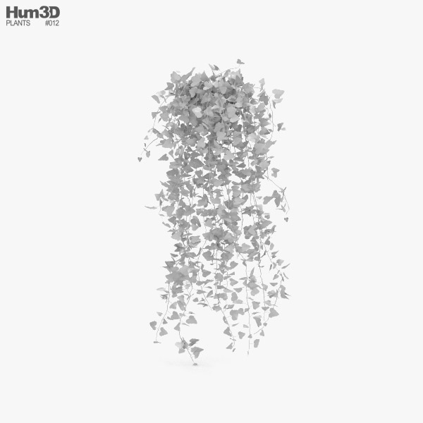 Efeu 3D-Modell - Herunterladen Bume an 3DModels.org
