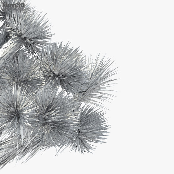 thuja vorgarten Jetzt Lebensbaum Torwächter 'Smaragd' online kaufen bei Bohlken  Pflanzenversand – Bohlken Pflanzenversand GbR main image 0