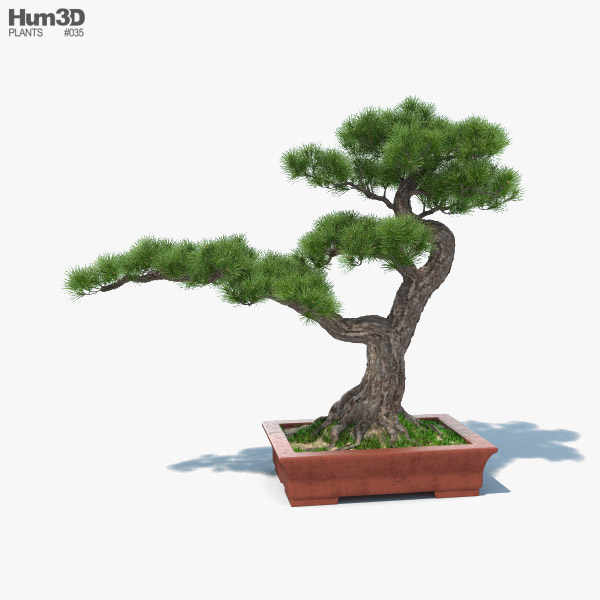 rossmann lego bonsai LEGO 10281 main image 1