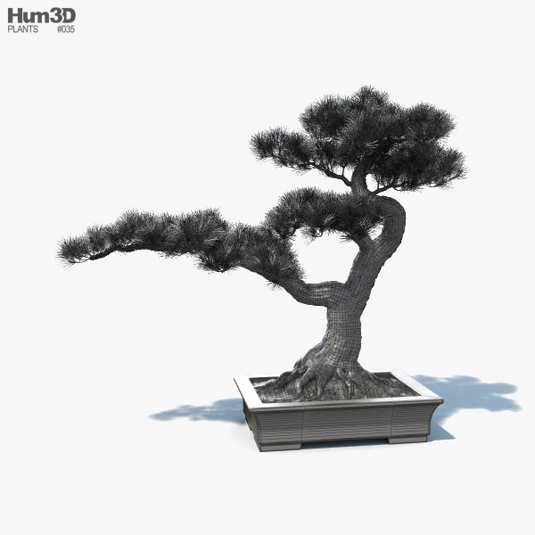Bonsai Tree 3D model - Download Trees on 3DModels.org