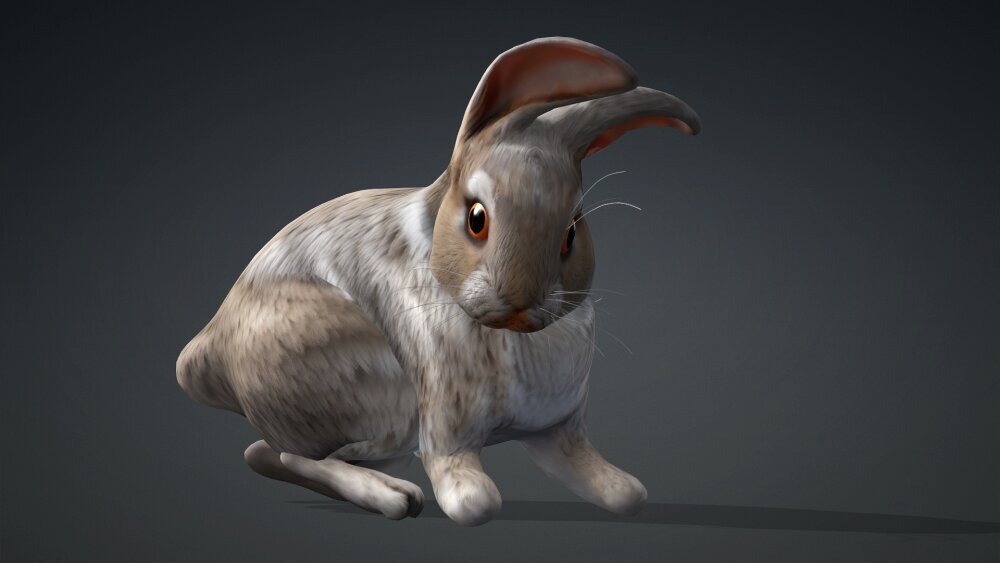 Rabbit A3 3D model - Download Mammals on 3DModels.org