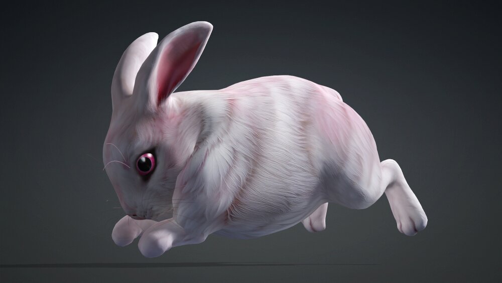 Rabbit A1 3D model - Download Mammals on 3DModels.org