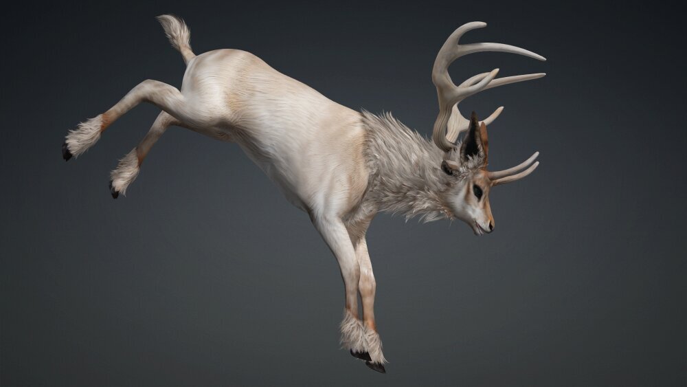 3D Black Deer 503