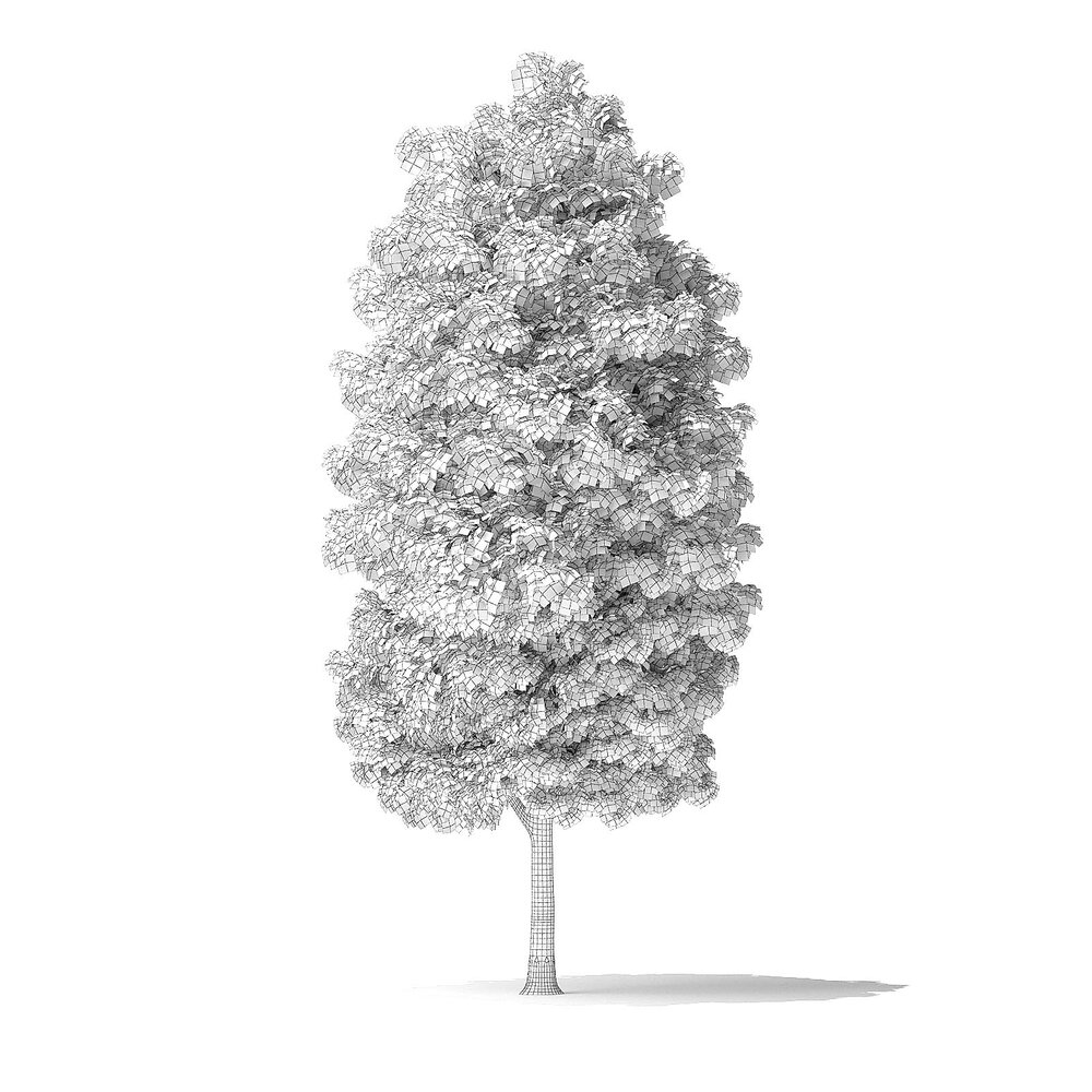 Green Ash Tree 7m 3D Model Download Trees On 3DModels Green ash tree 7m 3d model download trees on 3dmodels