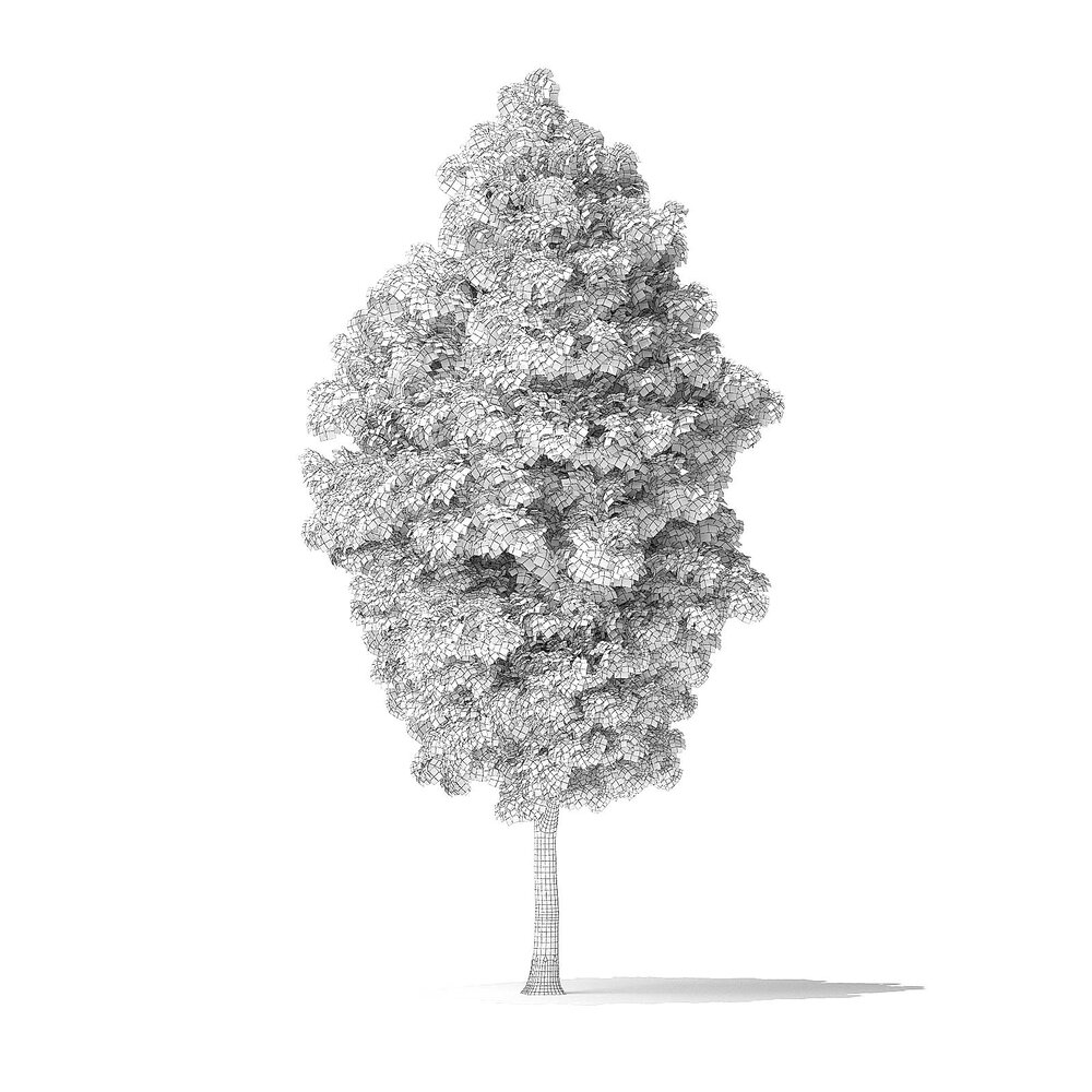Green Ash Tree 9m 3D Model Download Trees On 3DModels Green ash tree 9m 3d model download trees on 3dmodels