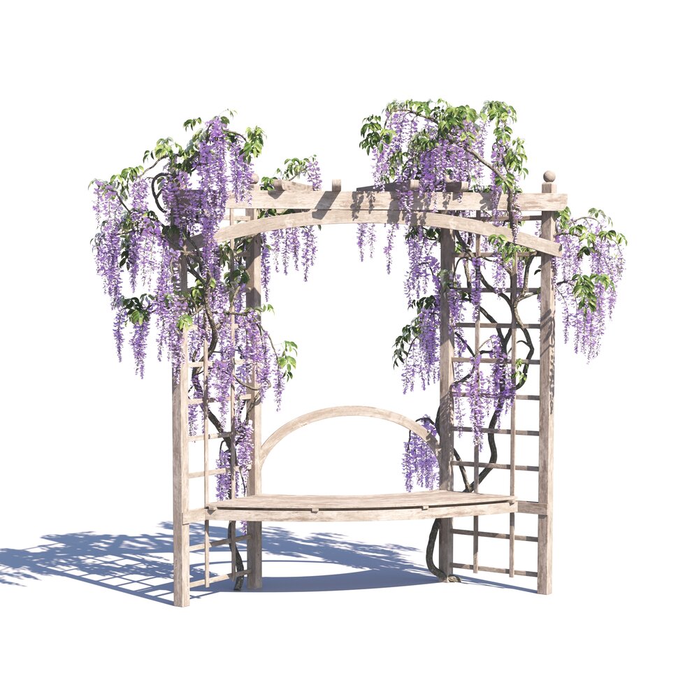Wisteria Sinensis Pergola with Wooden Bench 3D model - Download Garden on  3DModels.org