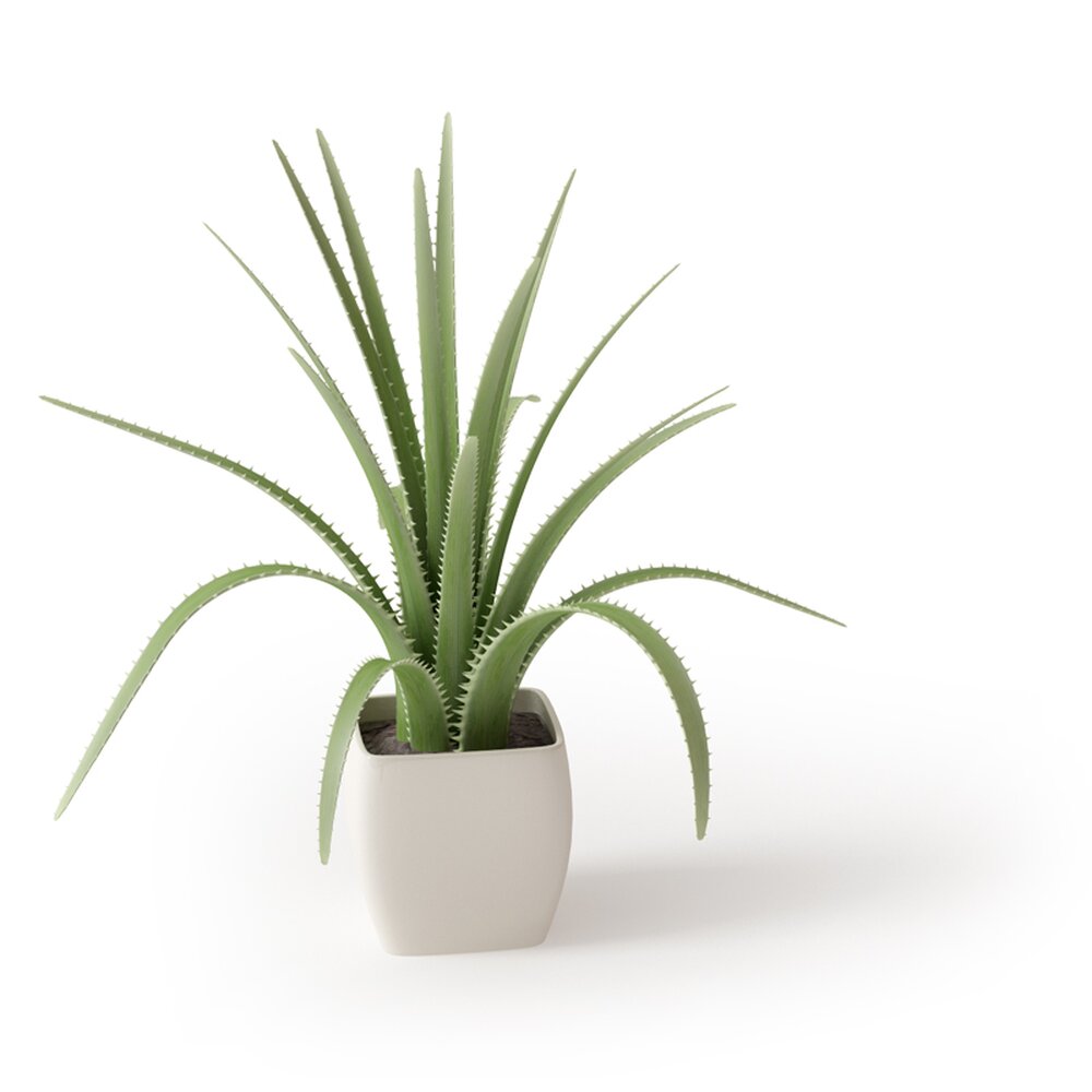 Potted Aloe Vera Plant 3D model - Download Houseplants on 3DModels.org