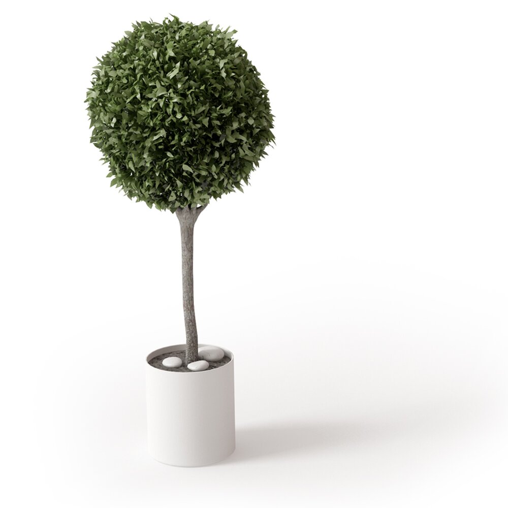 Minimalistic Potted Topiary 3D model - Download Houseplants on 3DModels.org