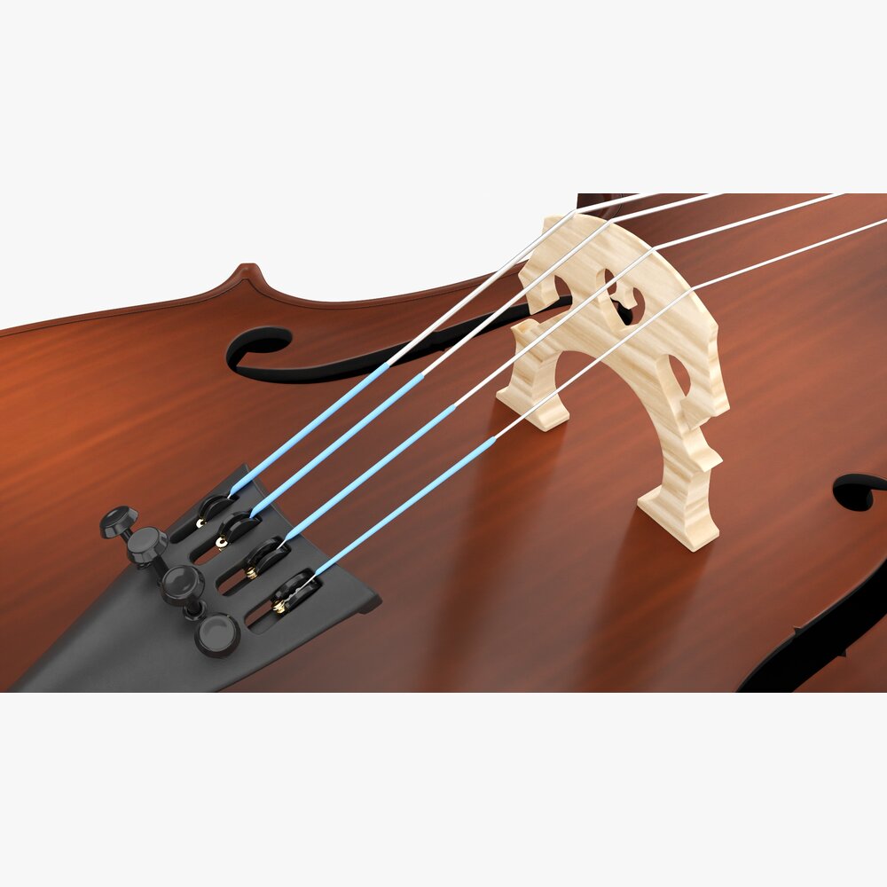Acoustic Cello 3D model - Download Musical Instruments on 3DModels.org