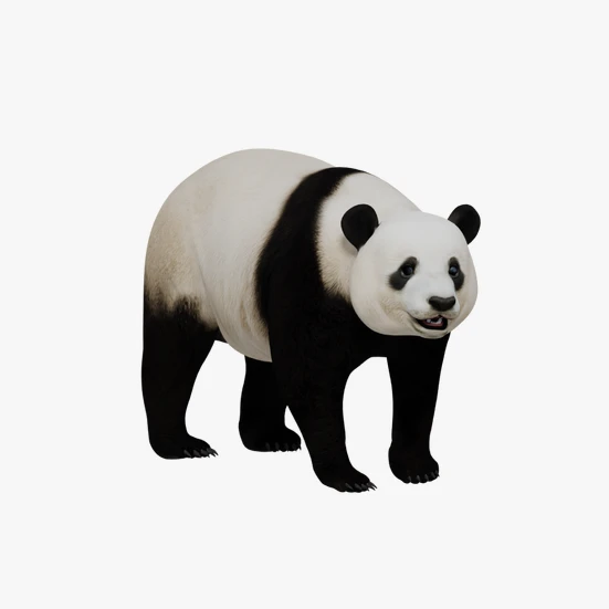 パンダ 3Dモデル ダウンロード - 3DModels.org