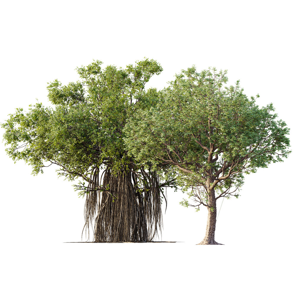 Tree Pair with Lush Foliage and Detailed Roots 3D model - Download ...