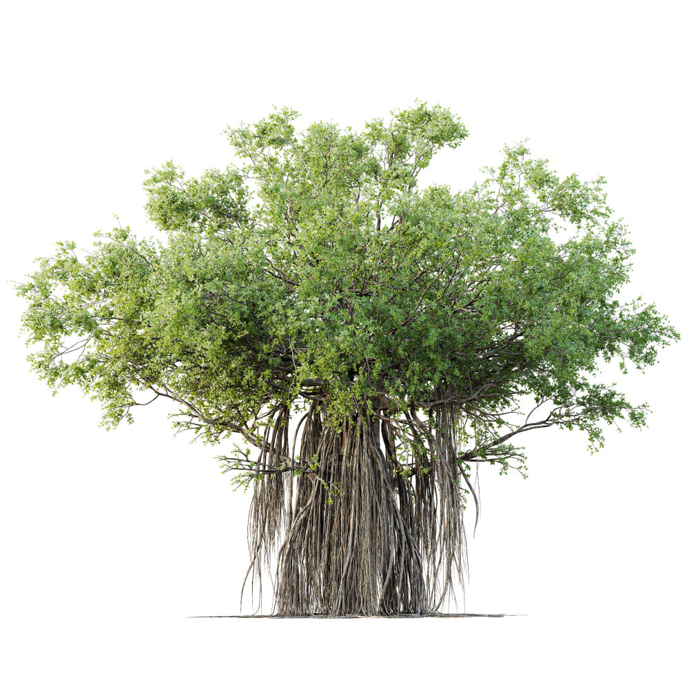 Tree Pair with Lush Foliage and Detailed Roots 3D model - Download ...