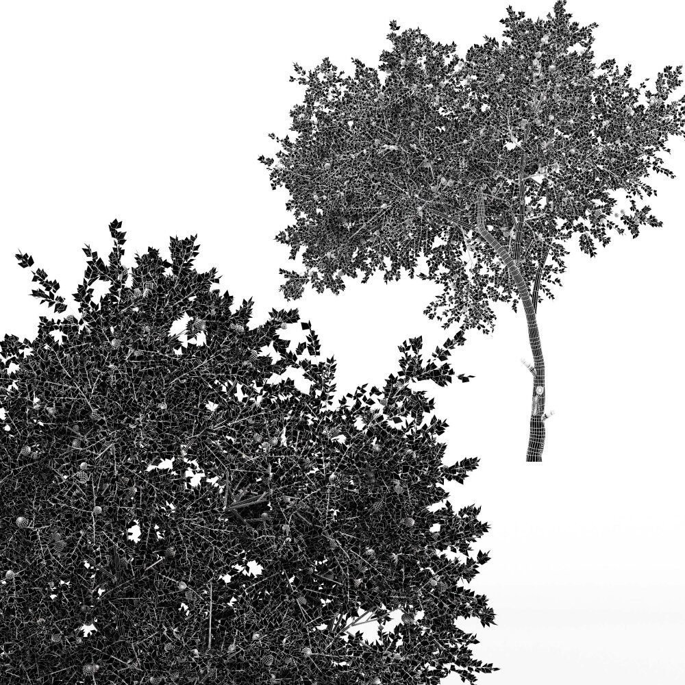 装饰袋中的柠檬树和垂枝桑树 3D模型 - 下载 树木 on 3DModels.org