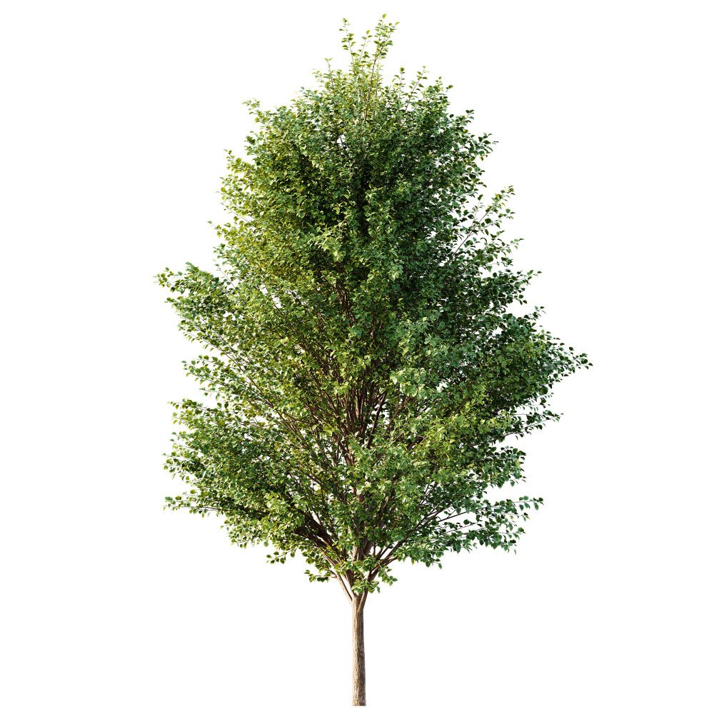 Lot 73 - Britains Toys; a selection of Make-Up tree