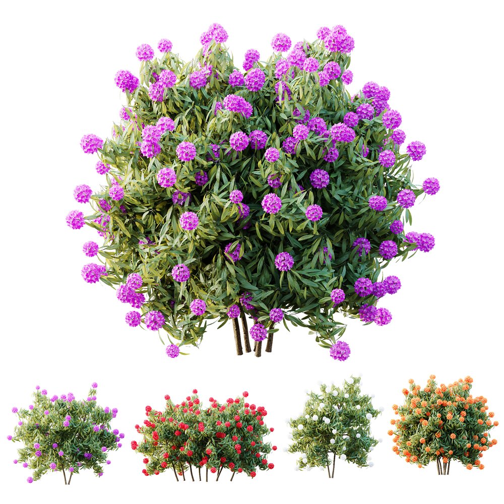 thuja dnger Purgrn Thuja-Smaragd-Dnger 1 kg