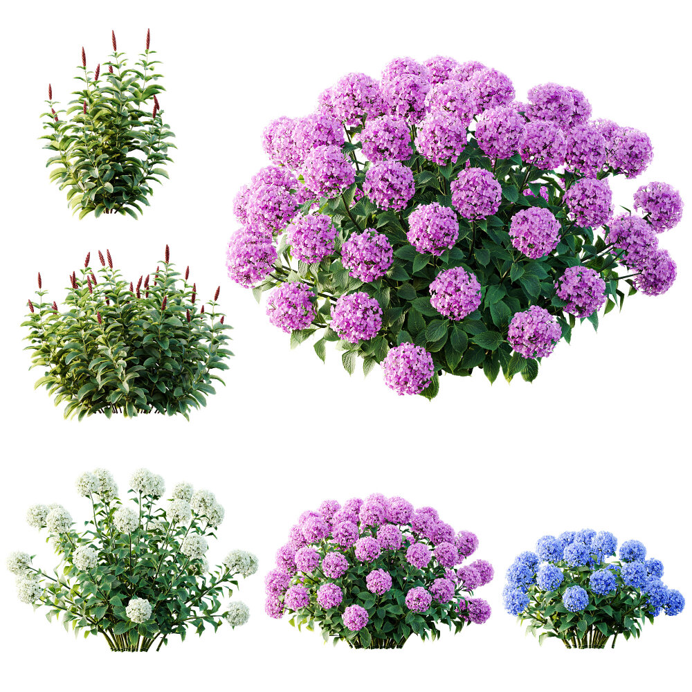 Spring Bushes Rhododendron Shrub and Bulbs Crape Malay Ginger 3D model -  Download Bushes on 3DModels.org