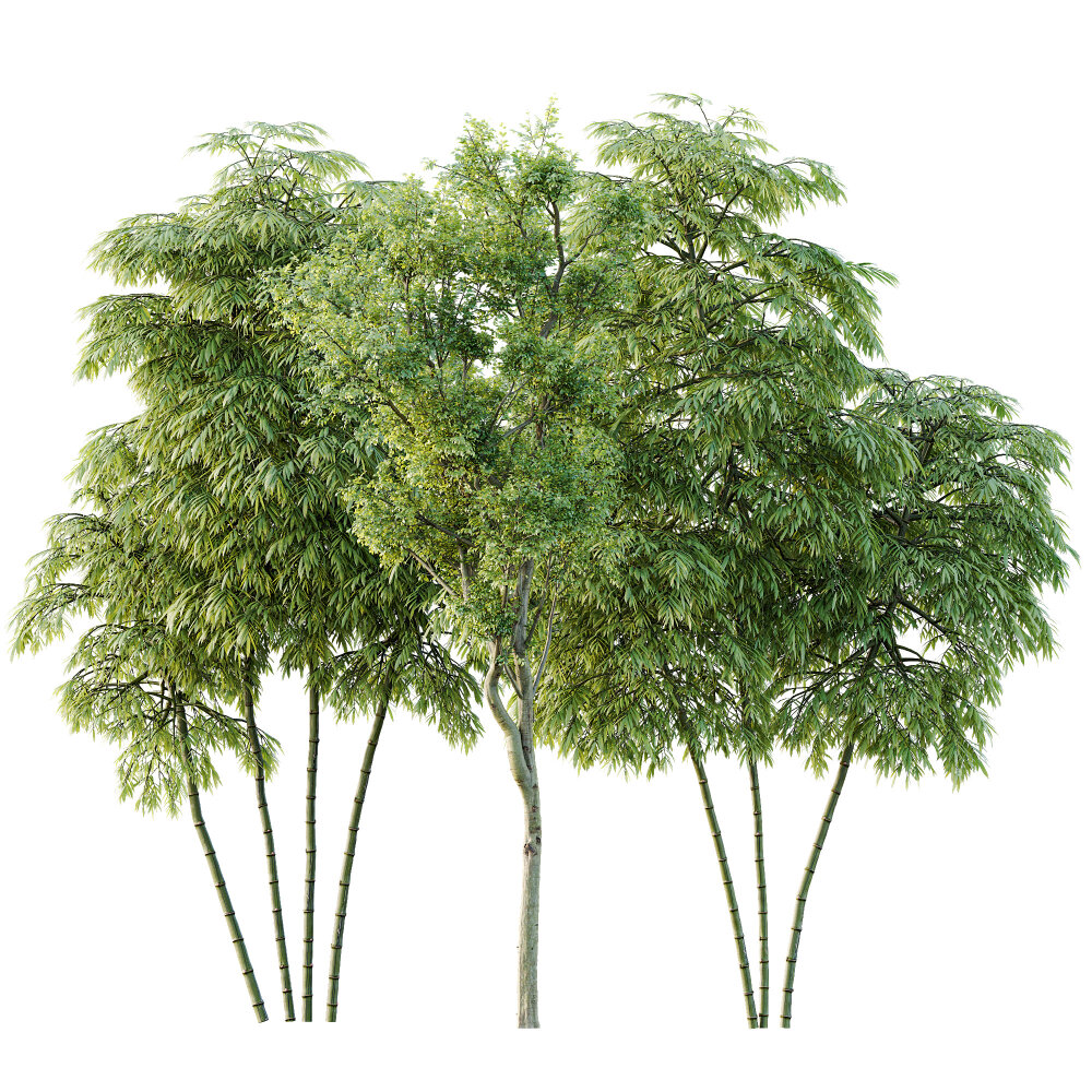bambus fussmatten Bamboo Fussmatte Bambus Badteppich Badematte Badezimmerläufer – Hermex.ch main image 0