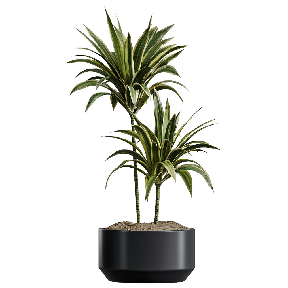 zimmerpflanzen leuchte Canna Sunlite Bundle no.02 – Venso Germany main image 0