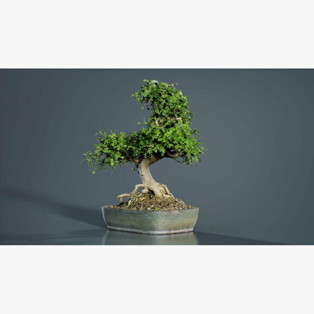 totoro bonsai In Stock] Totoro Rain Station Water Flowing Statue SD0003